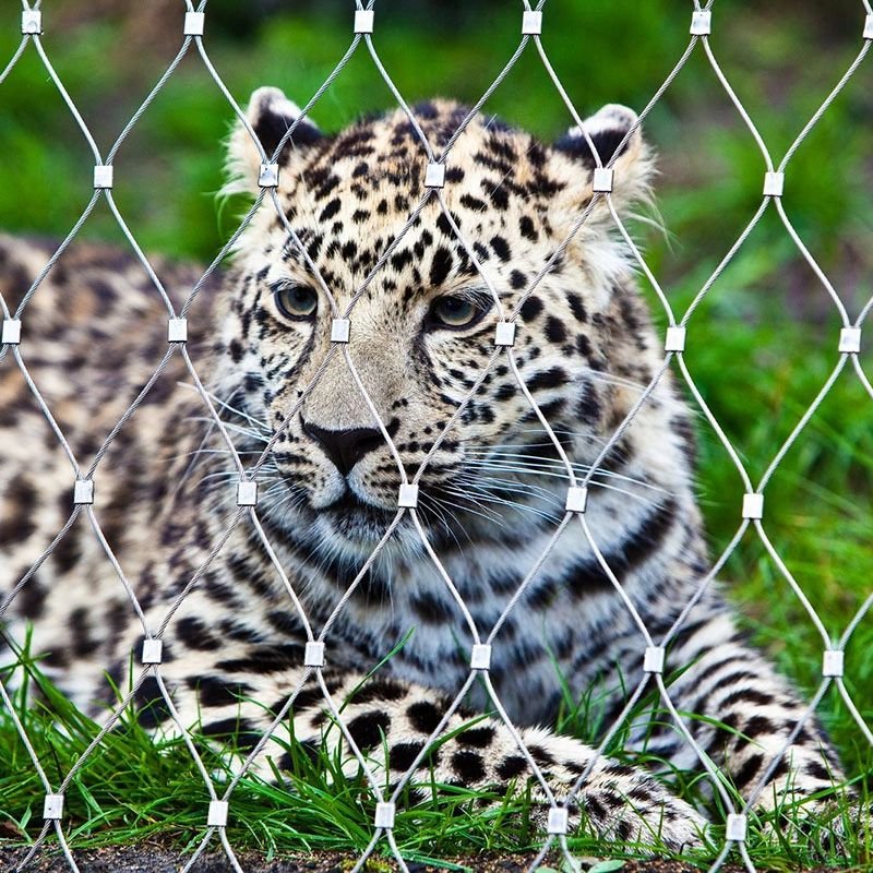 tiger zoo wire rope mesh