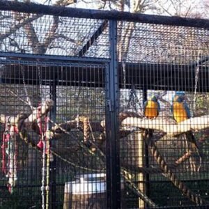 zoo-macaw-aviary