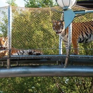 zoo enclosure mesh for tigers