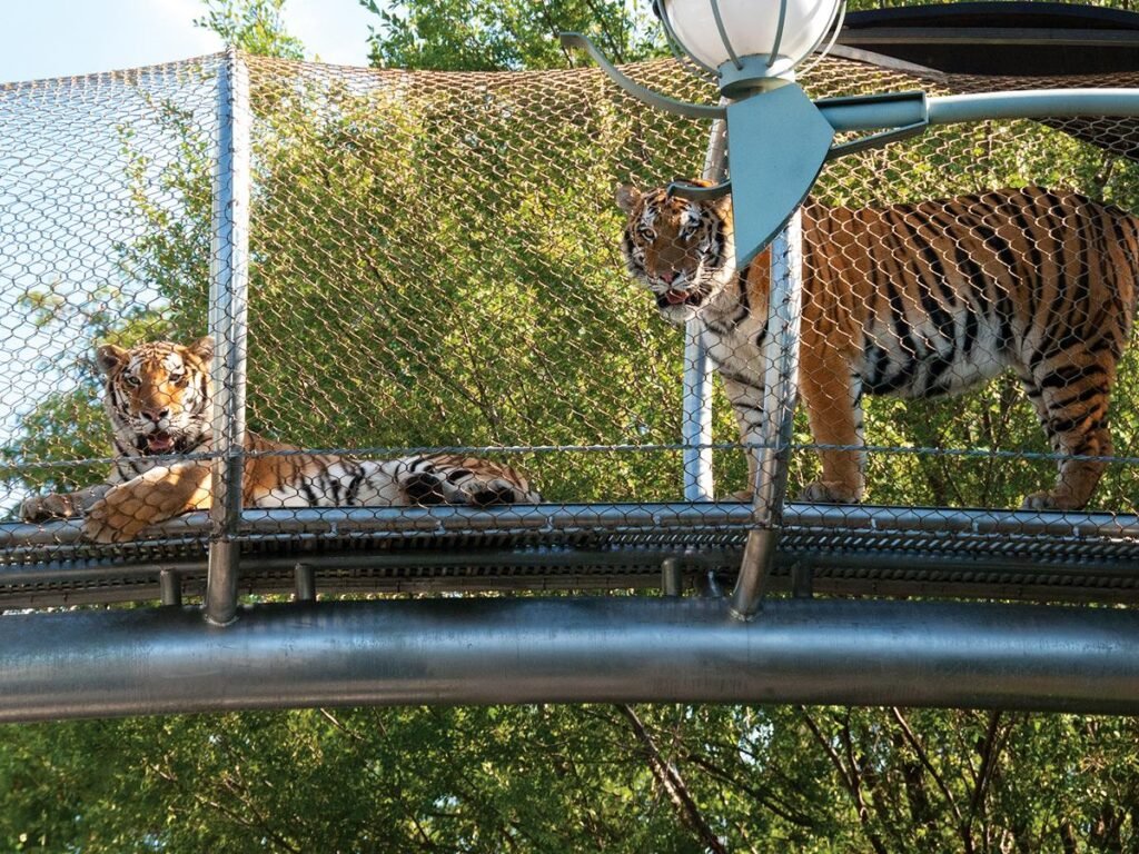 zoo enclosure mesh for tigers