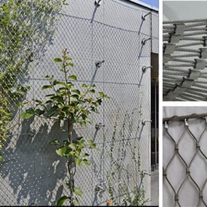 Stainless Steel Wire Rope Mesh 100*100mm Cable Mesh Green Plant Climbing Trellis Wall Mesh For Garden