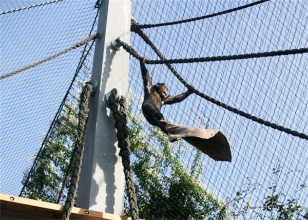 <a href=https://www.wiremesh.co.nz/manufacturers/products/Zoo-Fencing.html target='_blank'>zoo fencing</a>