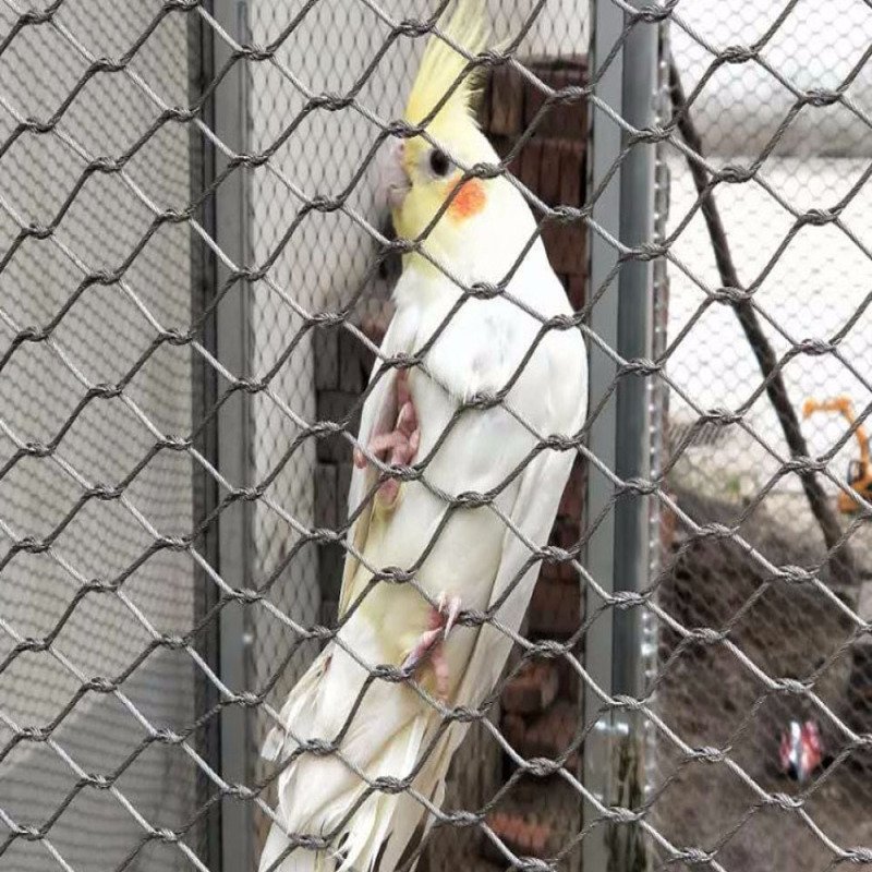 Bird Aviary Mesh Netting