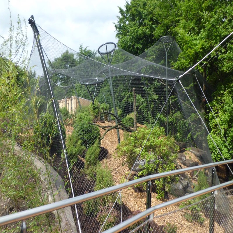 aviary mesh for birds