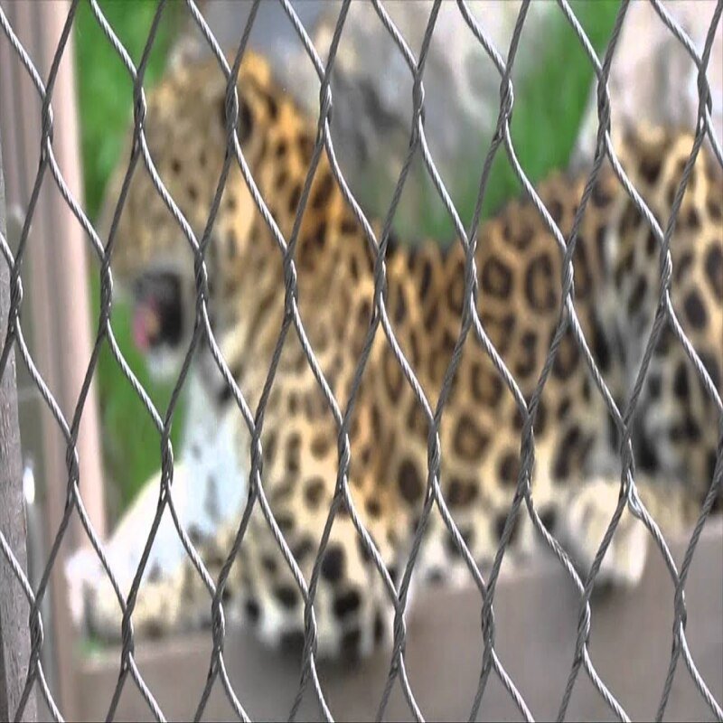 zoo enclosure mesh