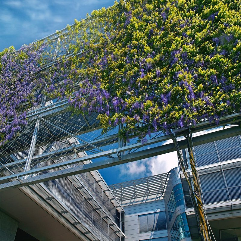 Stainless Steel Green Facade for Plant Climbing