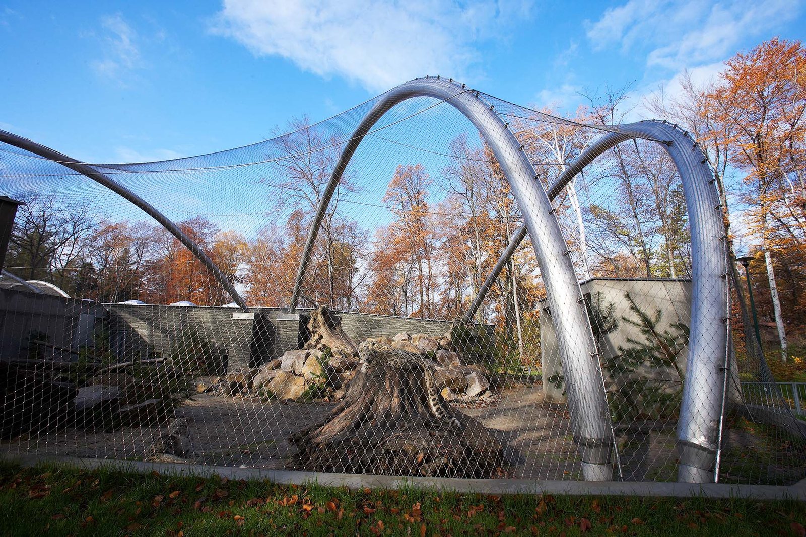 Tiger Enclosure Zoo Design Idea: Stainless Steel Cable Mesh